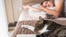Czy spanie z kotem jest zdrowe? [WYJAŚNIAMY]