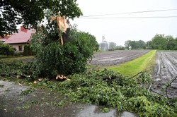 PROGNOZA POGODY: Upał i burze w całej Polsce