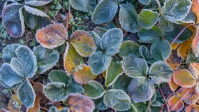 Ciepło już było. Nadciągają mrozy. Tak wygląda najnowsze prognoza pogody