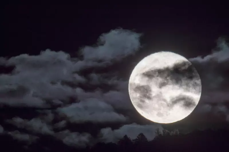 Fazy Księżyca - jak na nas działają?
