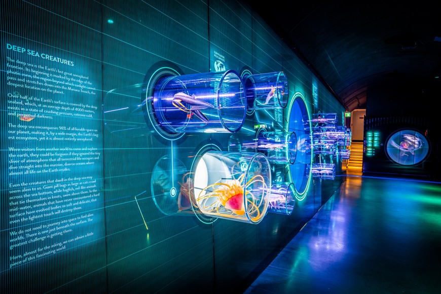 W Hydropolis zanurzysz się w oceanicznych głębinach