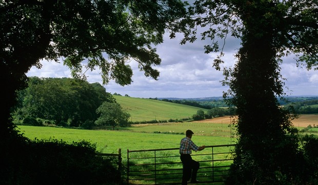 Ko ima pravo na subvencije u slučaju smrti nosioca gazdinstva