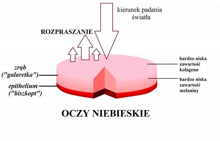 Oczy niebieskie