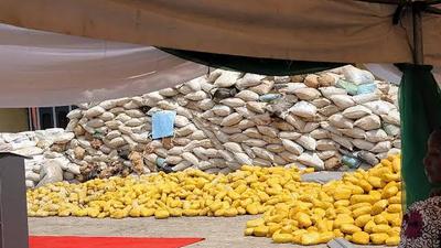 Nigerian Navy seizes illicit drugs, arrests suspected dealers in Akwa Ibom [Ships & Ports]