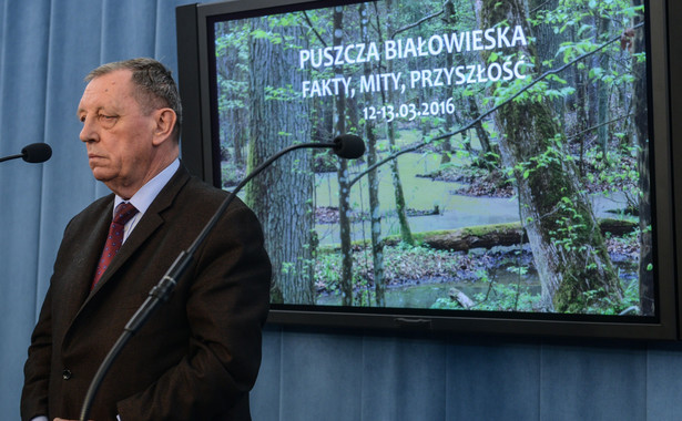 Szyszko zdradza plany wobec Puszczy Białowieskiej. Tylko część lasu zostanie bez ingerencji