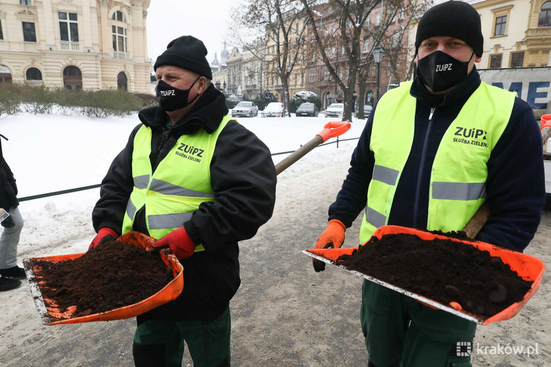 Zimowe utrzymanie. Fusy z kawy zamiast piasku