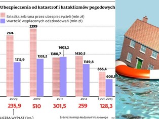 Niemieckie gradobicia wpłyną na ceny polis w Polsce