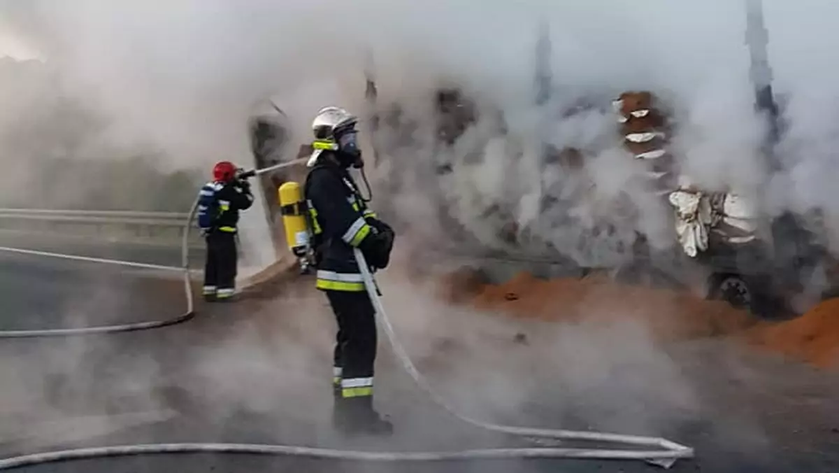 Podpalony dostawczak, mimo interwencji straży pożarnej, spłonął 