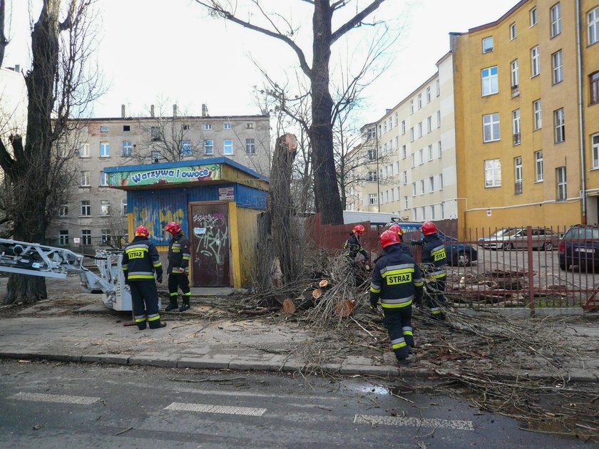 Wichura w Łodzi. Konar spadł na auto