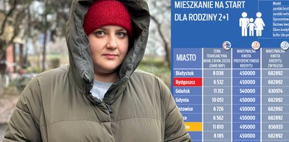 Państwo dopłaci do apartamentów? Eksperci policzyli, na jakie mieszkania będzie nas stać [TABELE]