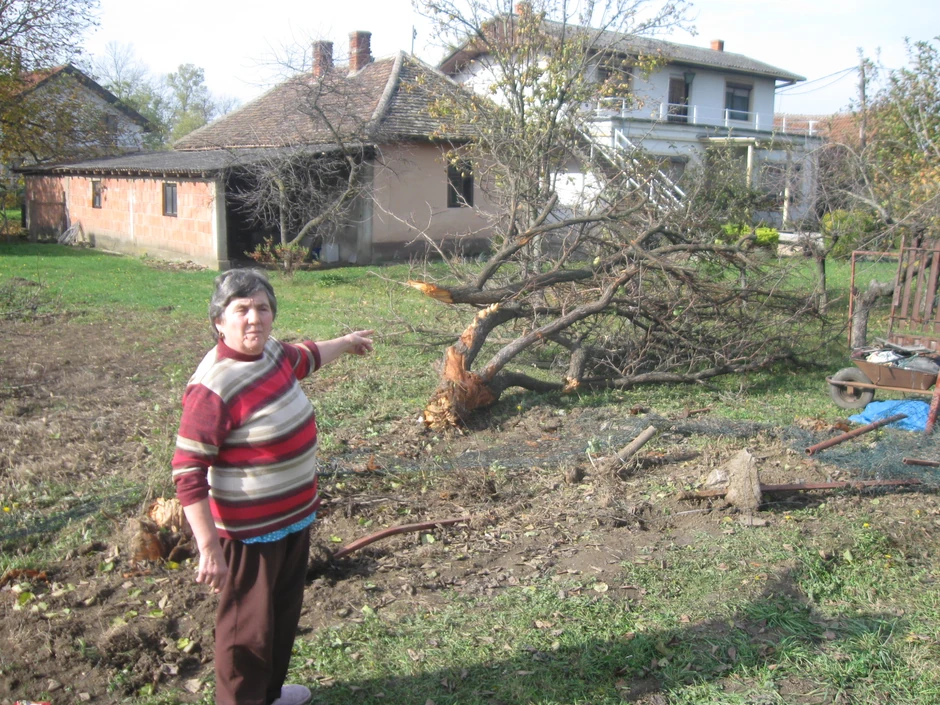 Branka Milovanović sa familijom potrčala u pomoć