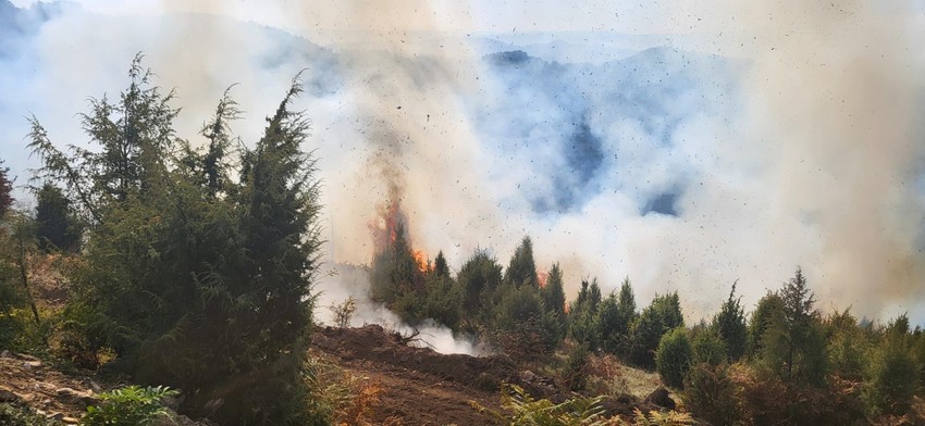 Pokazna vatrogasna vežba na padinama Tare