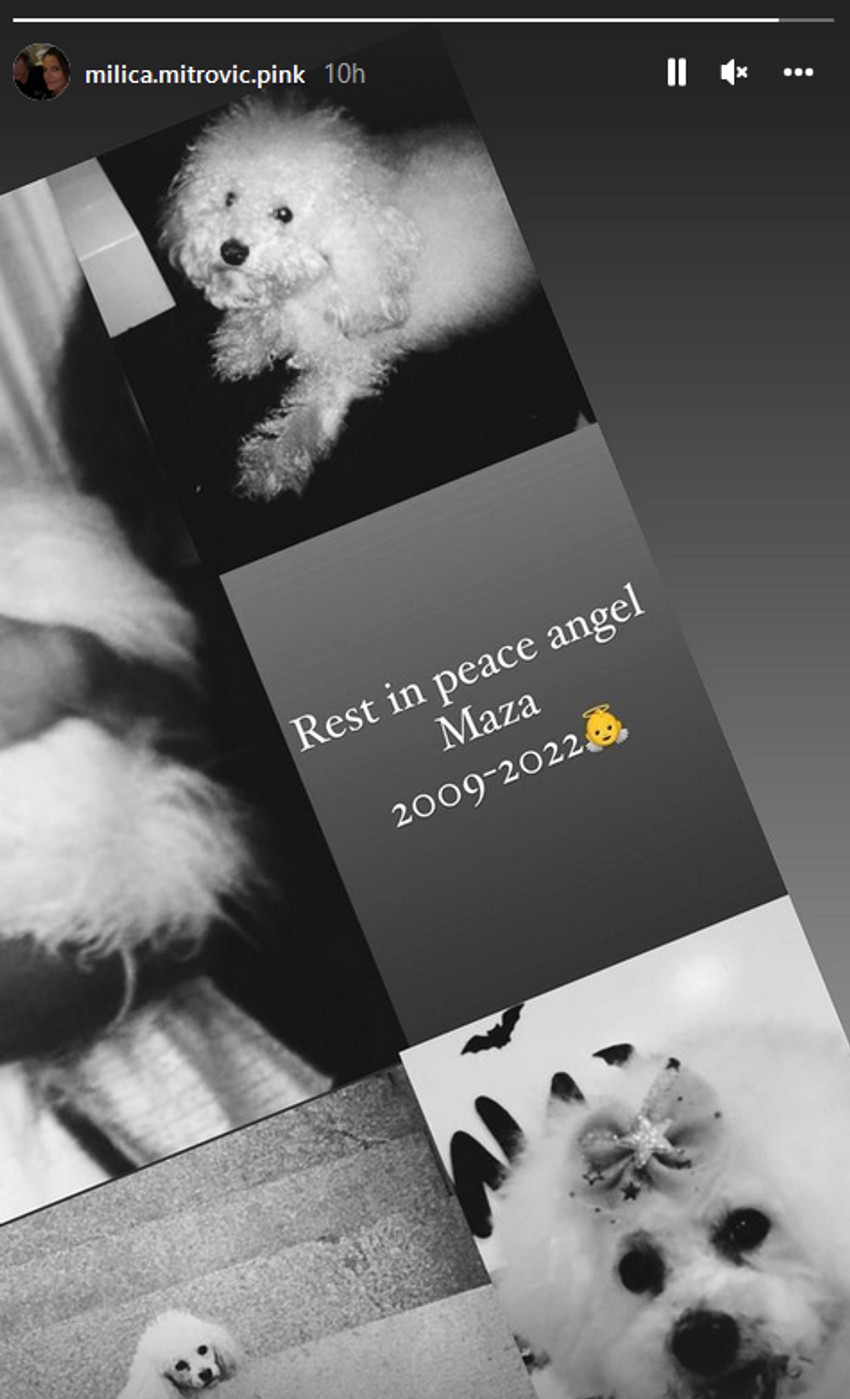 Milica Mitrović objava