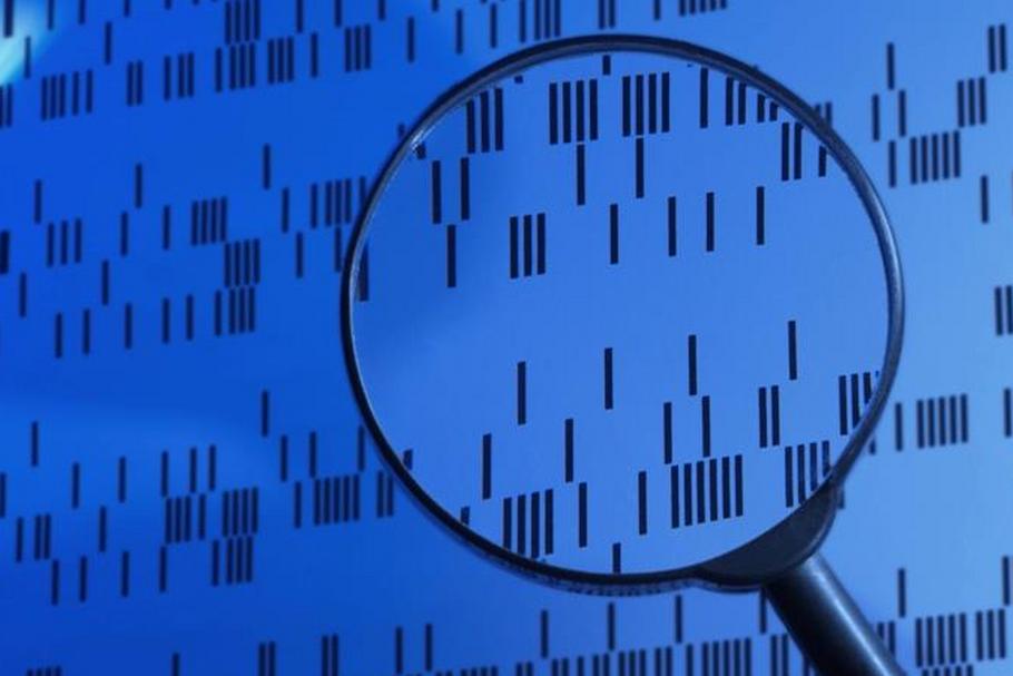 kod DNA lupa biotechnologie nieśmiertelność