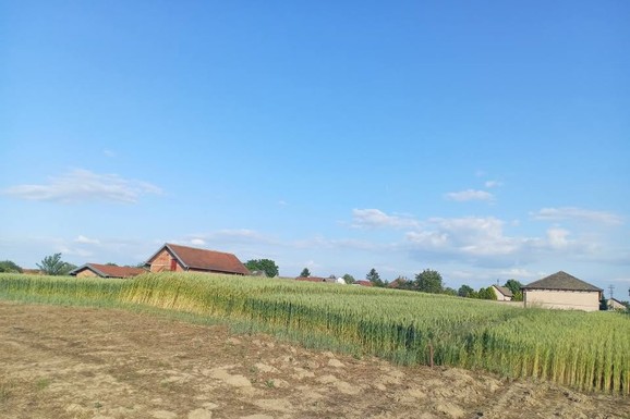 Placevi nadomak Beograda sada jeftiniji za 5.000 evra: Evo gde možete kupiti građevinsko zemljište, Tanja ih daje za 20.000 (FOTO)