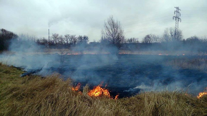 Strażacy ostrzegają przed wypalaniem traw