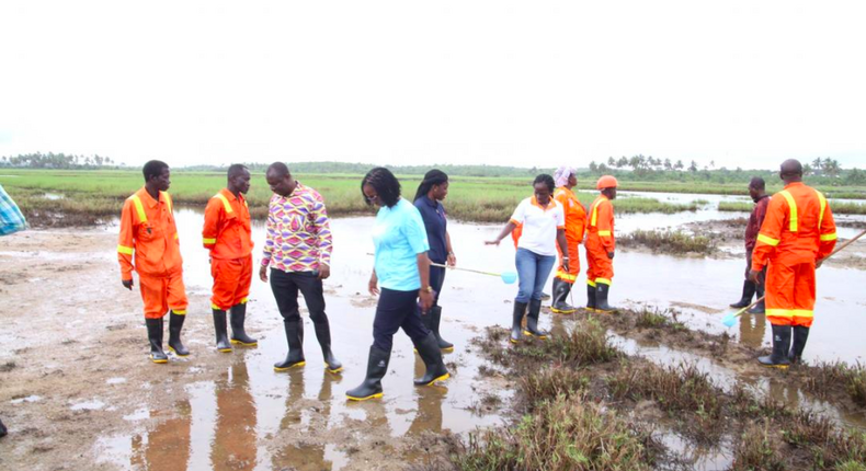 National Malaria Control Programme manager inspects Zoomlion’s mapped mosquito breeding sites
