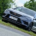 Cupra Ateca w limitowanej edycji. W Polsce takich aut będzie nie więcej niż 25