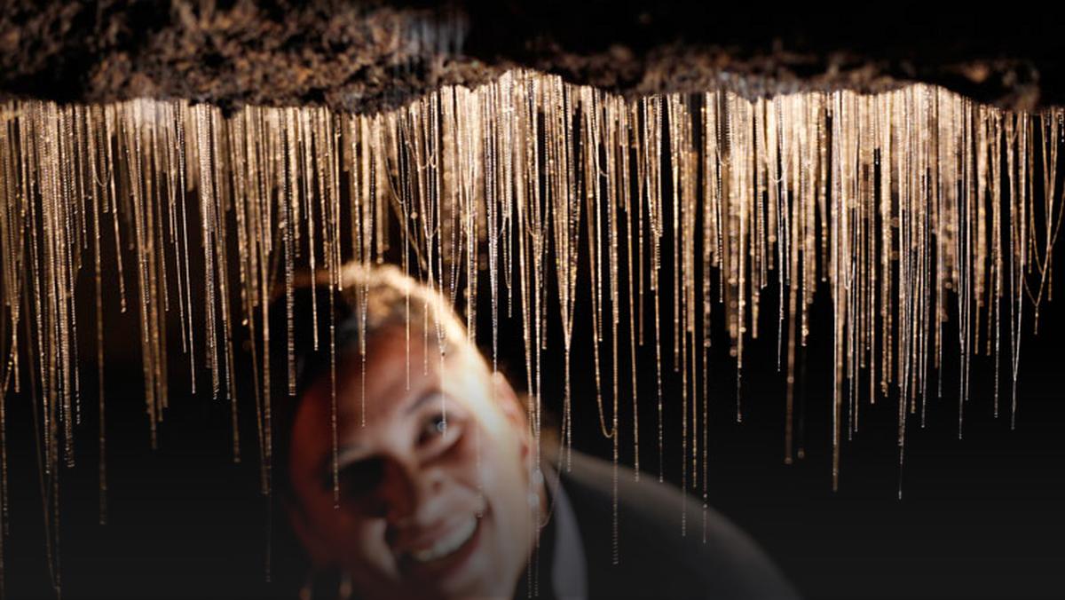 Waitomo Glowworm Caves - jaskinie świecących robaczków