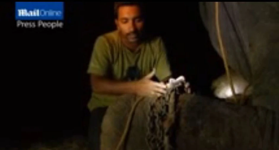 Skidanje lanaca sa slona