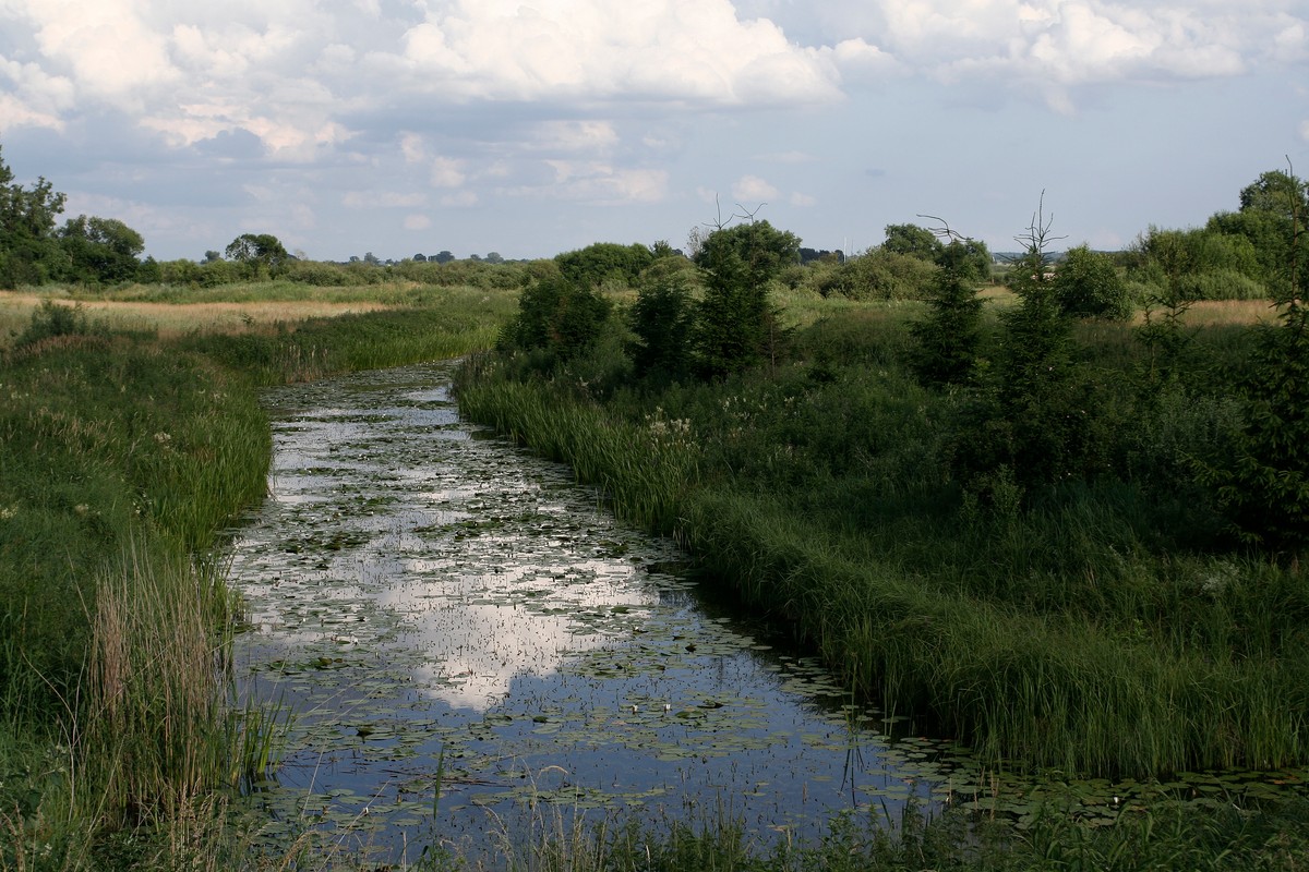 Jezioro Tałty