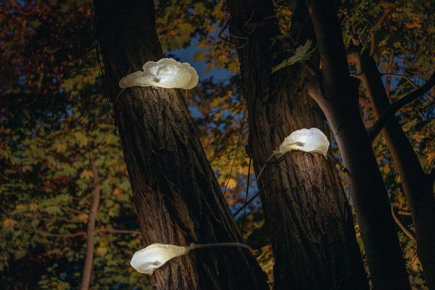 HUBY – wyjątkowe lampy przystosowane do przestrzeni leśnej