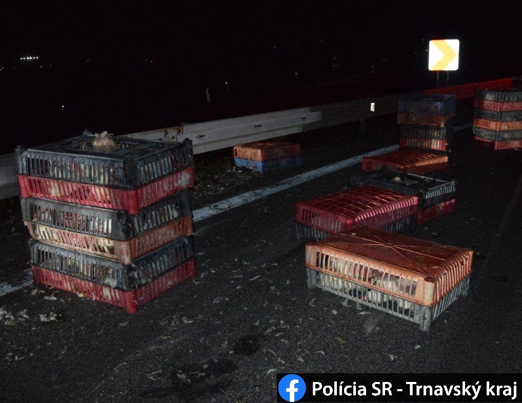 Na D1 vypadli z poľského kamióna debničky so sliepkami.