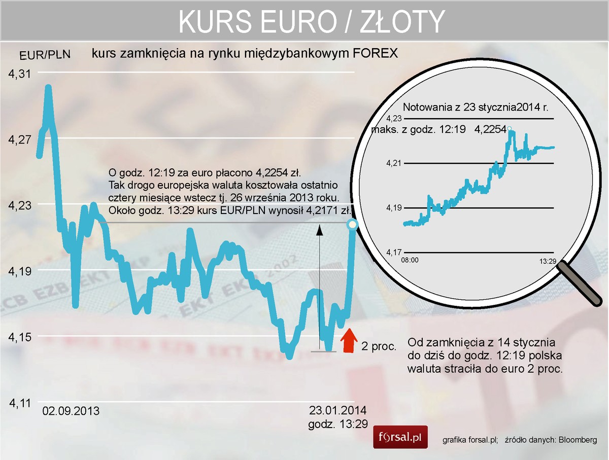 Złoty najsłabszy od czterech miesięcy. Kurs EURPLN od wrześnie 2013 r. do stycznia 2014 r.
