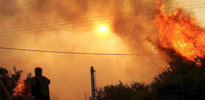 Pożar lasu na greckiej wyspie. Ewakuowano turystów