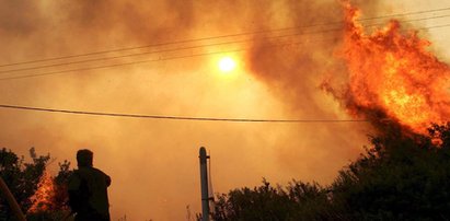 Pożar lasu na greckiej wyspie. Ewakuowano turystów