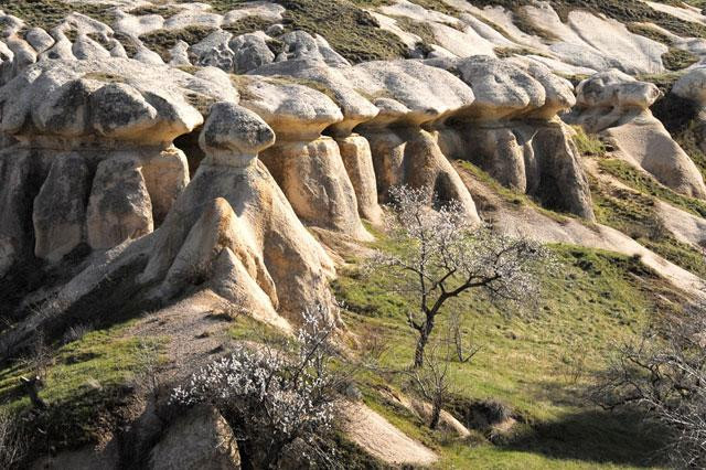 Galeria Turcja - Kapadocja, obrazek 2