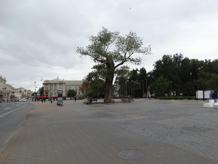 Baobab