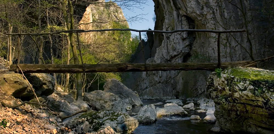 Prerasti u kanjonu Vratne