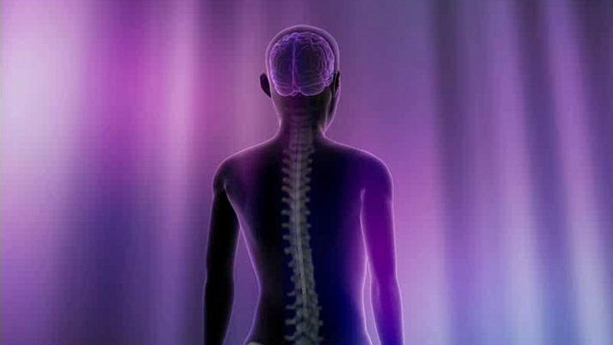 Nasze ciało kontrolowane jest przez impulsy nerwowe, które są generowane w mózgu i poprzez rdzeń kręgowy przechodzą do poszczególnych kończyn, umożliwiając poruszanie się. Przerwanie tej informacyjnej autostrady wywołane uszkodzeniem rdzenia kręgowego skutkuje paraliżem. Naukowcy pracują jednak nad technologią, które może przywrócić przepływ impulsów.