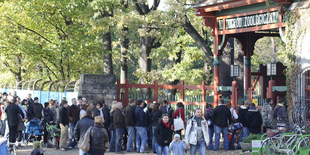 Kolejki do kas we Wrocławskim zoo