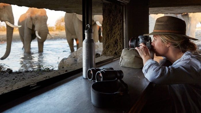 Gość w Singita Malilangwe House w Zimbabwe. Malilangwe House, jedna z posiadłości operatora safari Singita w całej Afryce, może pomieścić do 10 gości i kosztuje do 18 tys. 880 dolarów za noc. 