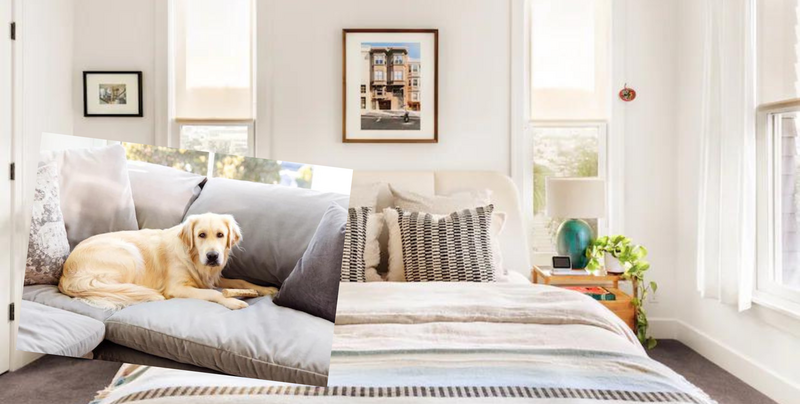 Szef Airbnb zaoferował na wynajem sypialnię w swoim apartamencie