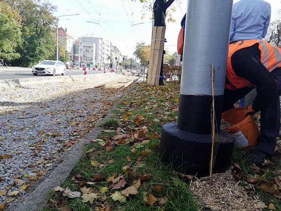 Zielone słupy trakcyjne we Wrocławiu