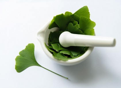 Ginkgo biloba - nem való mindenkinek, ilyen mellékhatásai lehetnek az ismert gyógynövénynek című cikk nyitóképe