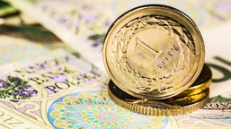 raport bcg: konsumenci zmieniają priorytety wydatków w obliczu inflacj