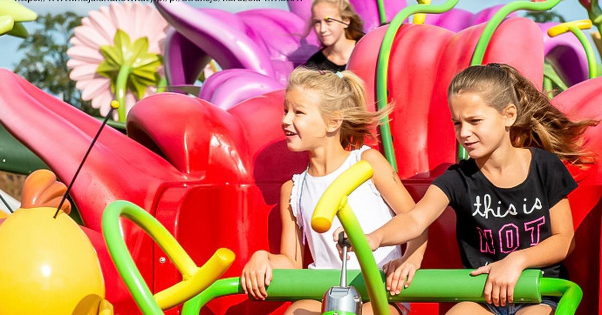 Najlepsze polskie parki rozrywki dla dzieci co jak i gdzie Atrakcje na Dzień Dziecka
