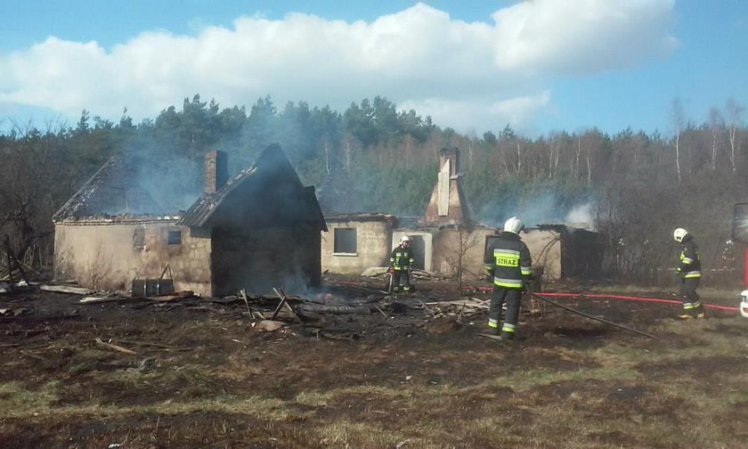 Spłonęły dwa budynki i 7 hektarów nieużytków