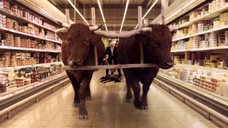 Majewski maluje kino. 'Onirica' to jednak średnie dzieło