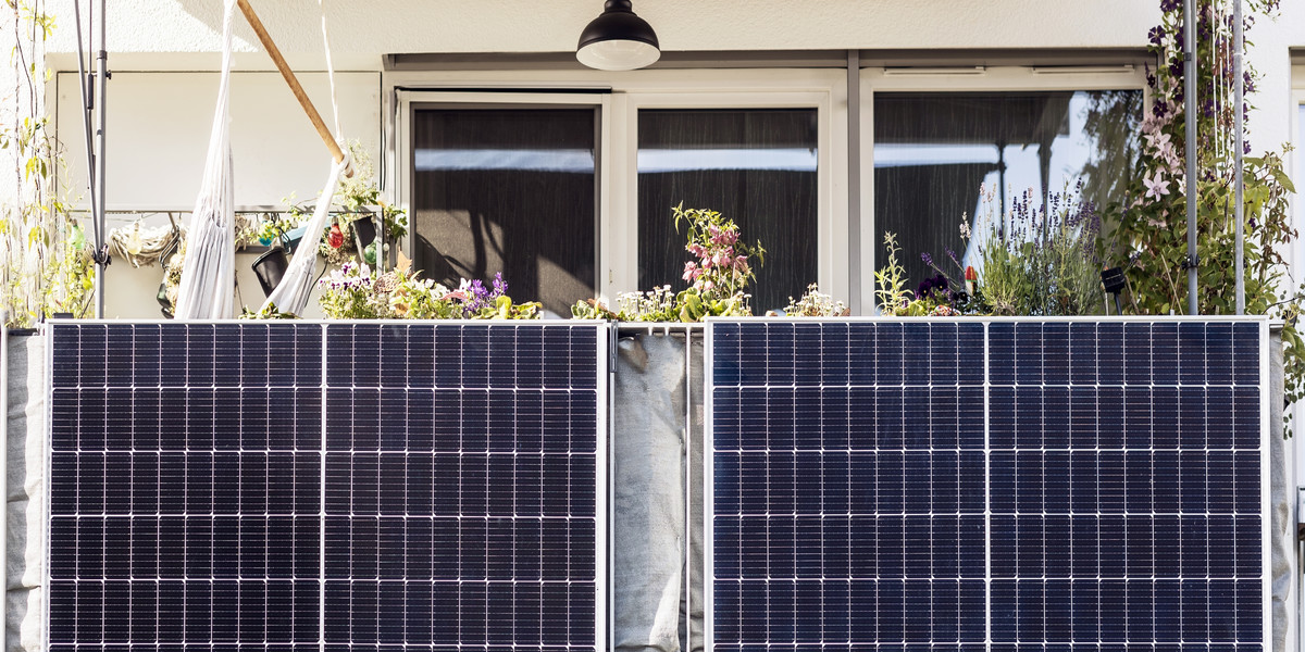 Rynek zalała tak duża liczba paneli słonecznych, że ludzie używają ich jako ogrodzeń ogrodowych. 