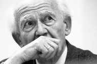 profesor Zygmunt Bauman, 1998