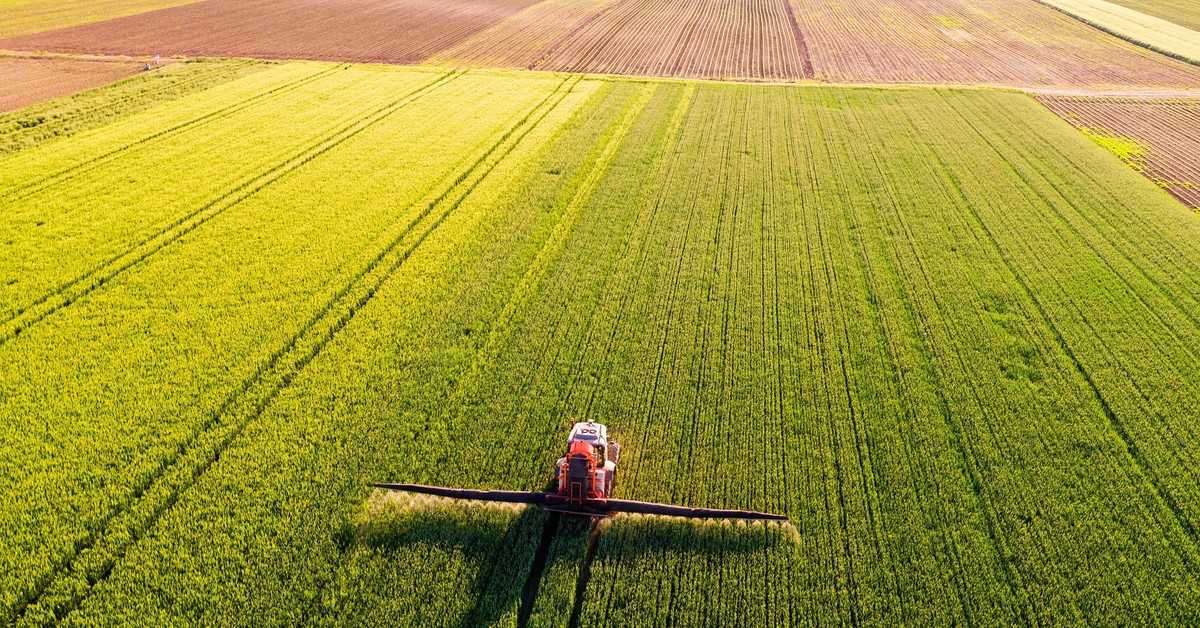 Wojna może wywołać kryzys żywnościowy. Na uderzenie z tej strony nikt nie był gotów