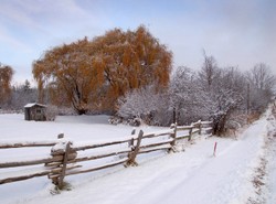 Sprawdź, jaka pogoda czeka cię w święta