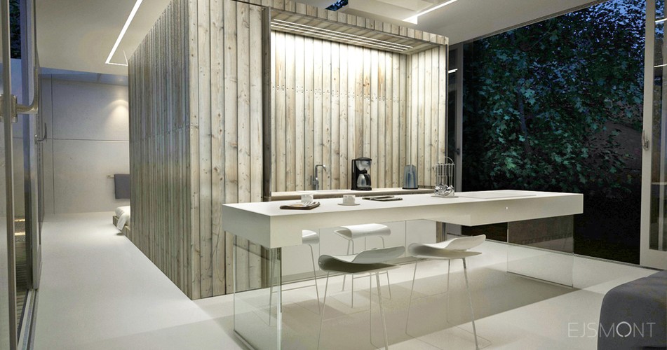 Dom minimalistyczny z przeszkleniami, nad jeziorem - projekt Ejsmont