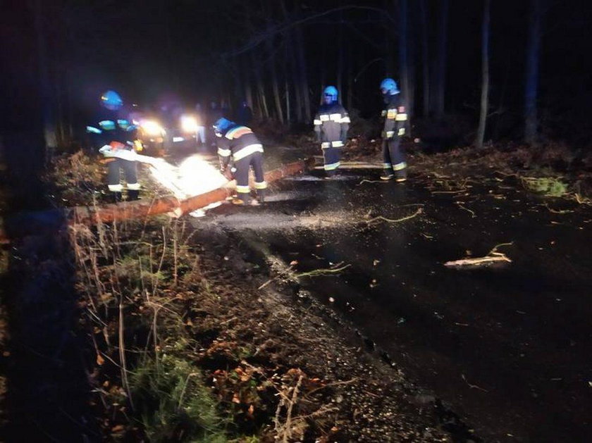 Horror na Opolszczyźnie. W jednej chwili padło stado krów