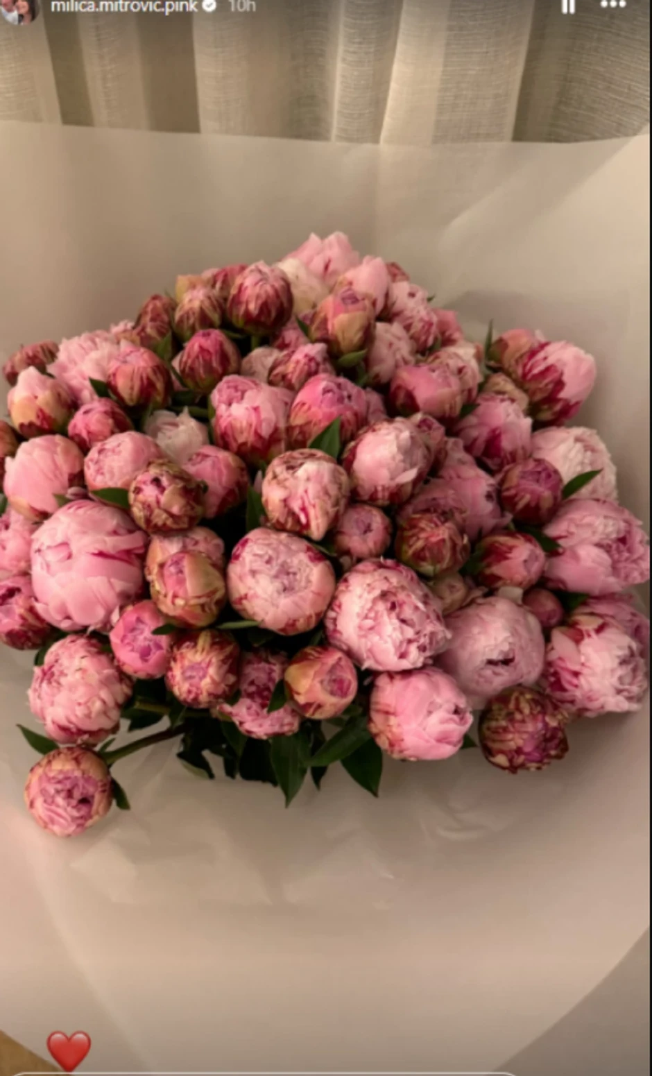 Milica Mitrović proslavila rođendan u Londonu